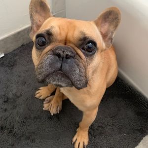 Meet your Posher, Crystal